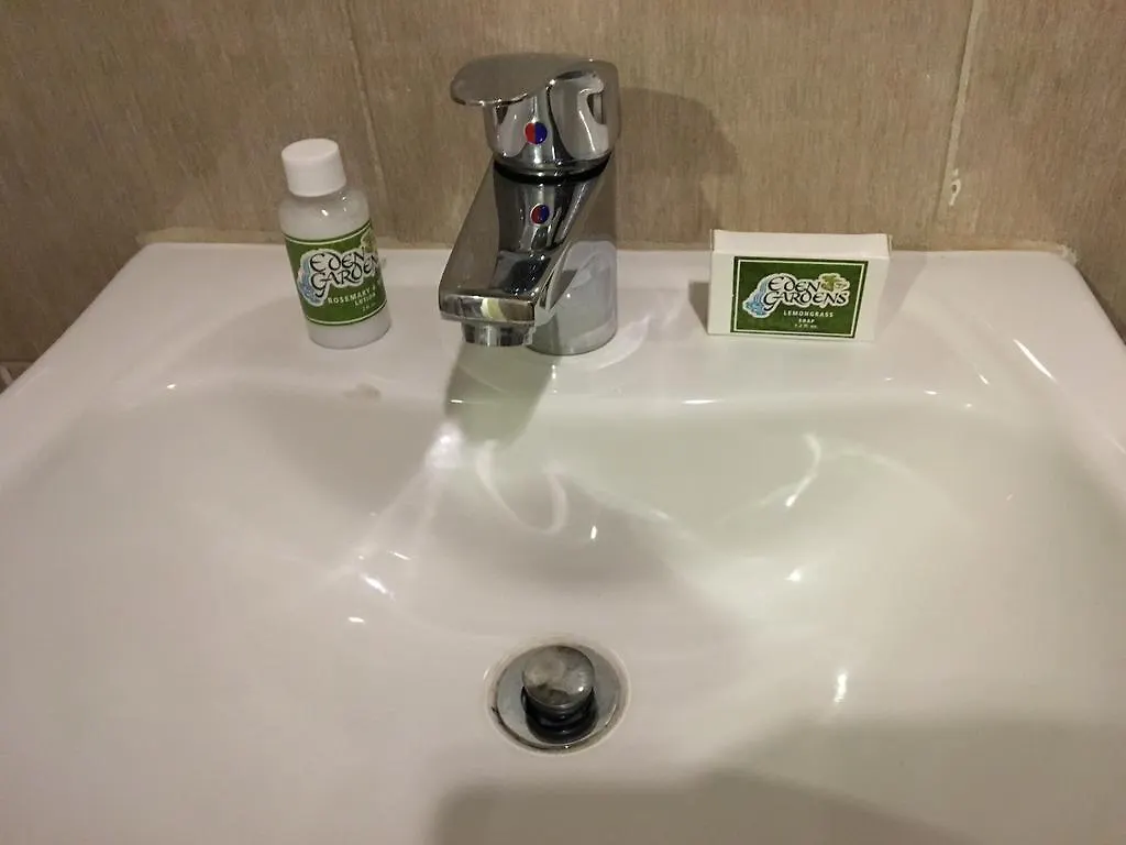 Eden Gardens Wellness Resort & Spa 金斯敦